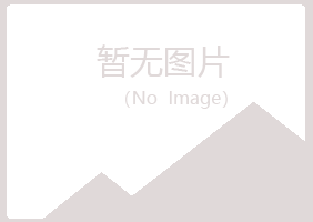 宁夏忆山能源有限公司